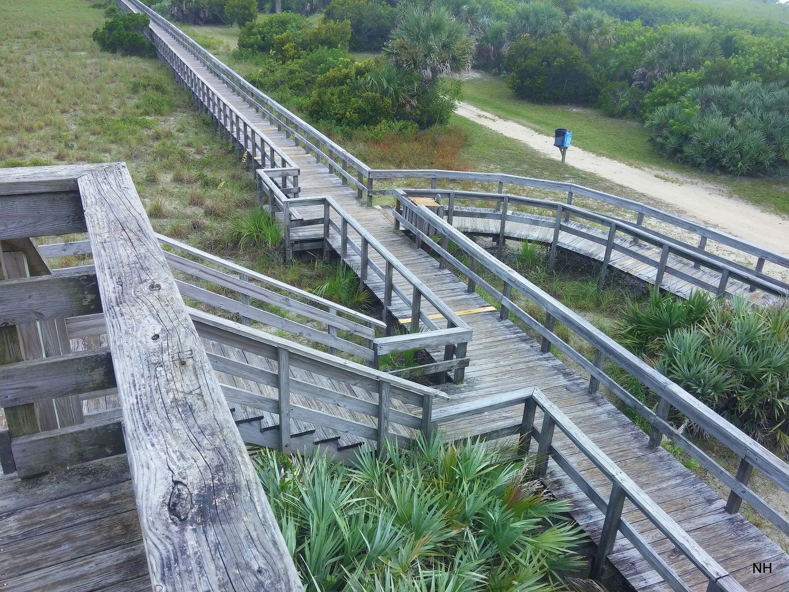 A wooden boardwalk through dune grass